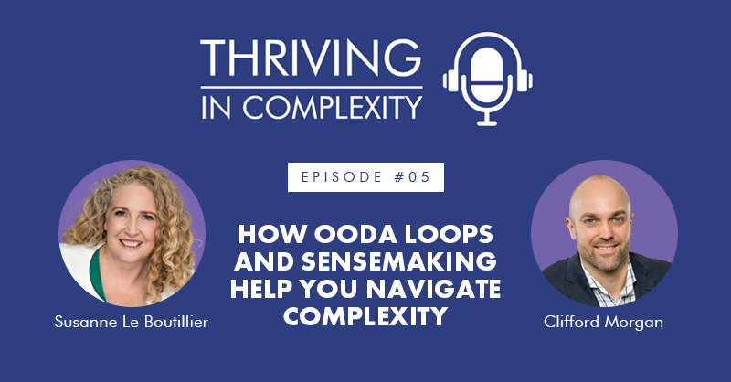 Episode 005: How OODA Loops and Sensemaking help you Navigate Complexity with Clifford Morgan