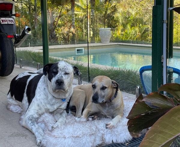 How to nurture new beginnings