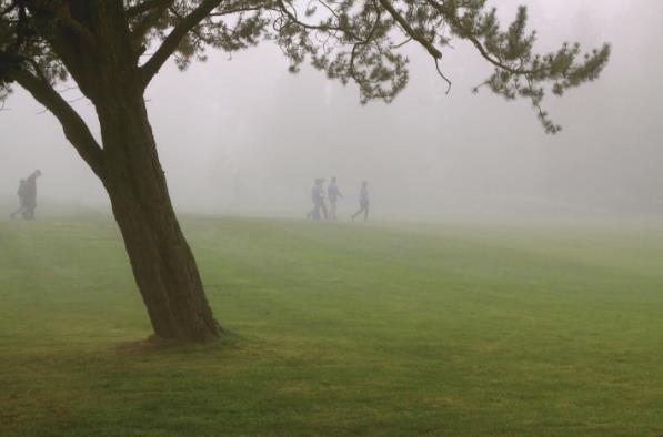 Spark Clarity and Connection