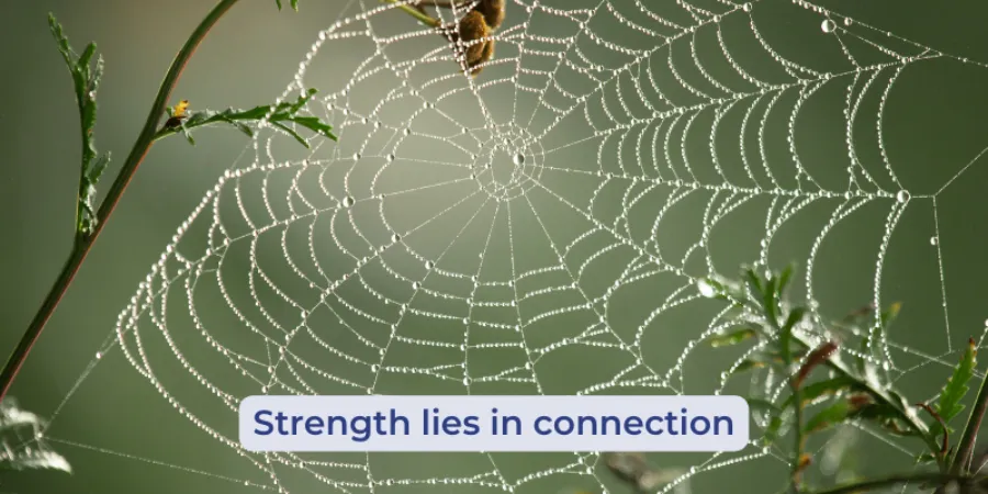 Spider web with the text “Strength lies in connection
