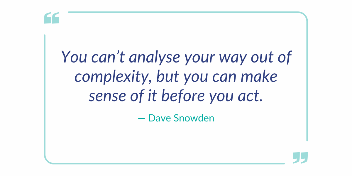 Quote by Dave Snowden about making sense of complexity before taking action